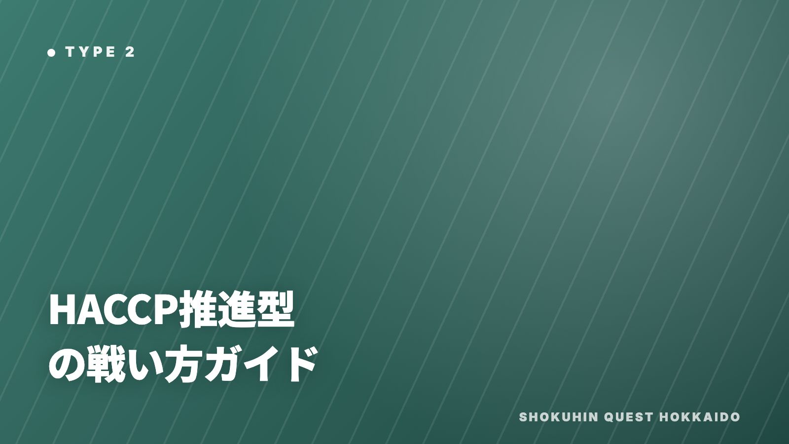 HACCP推進型の戦い方ガイド 表紙