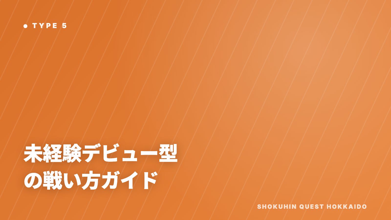 未経験デビュー型の戦い方ガイド 表紙